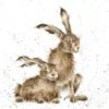 'His And Hares' Hare Print 1 'His And Hares' Hare Print -Home Furnishing Store poc041