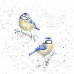 'Bluetits' Blue Tit Print