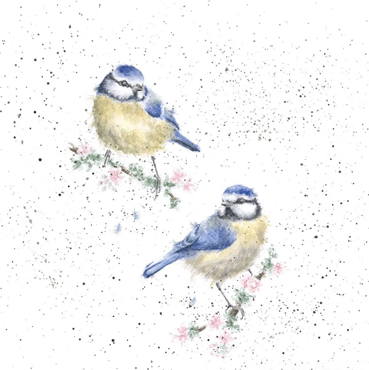 'Bluetits' Blue Tit Print 3 'Bluetits' Blue Tit Print