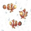 'Fishes' Clown Fish Print 2 'Fishes' Clown Fish Print -Home Furnishing Store poc101
