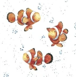 'Fishes' Clown Fish Print