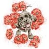 'Poppy Love' Labrador Print -Home Furnishing Store pseed007