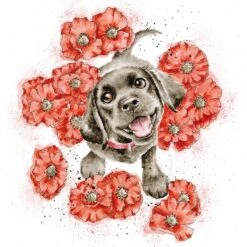 'Poppy Love' Labrador Print