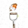 'The Gardener's Friend' Robin Print -Home Furnishing Store pseed008