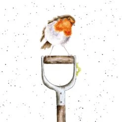 'The Gardener's Friend' Robin Print