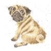 'Pug Love' Pug Cross Stitch 2 'Pug Love' Pug Cross Stitch -Home Furnishing Store pug wb
