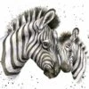 'Racing Stripes' Zebra Print -Home Furnishing Store pz037