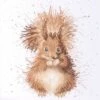 'Redhead' Squirrel Cross Stitch -Home Furnishing Store redhead