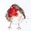 'The Jolly Robin' Robin Cross Stitch -Home Furnishing Store robin wb