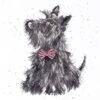 'Tammy' Scottie Dog Cross Stitch -Home Furnishing Store scottie wb