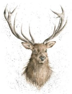 'Portrait Of A Stag' Ltd Print