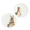 Rabbit And Duck Coupe Plates -Home Furnishing Store wnd3994 xw