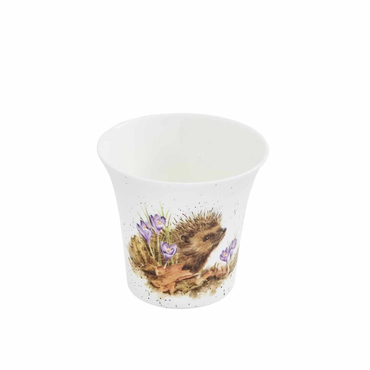 'New Beginnings' Hedgehog Herb Pot 3 'New Beginnings' Hedgehog Herb Pot