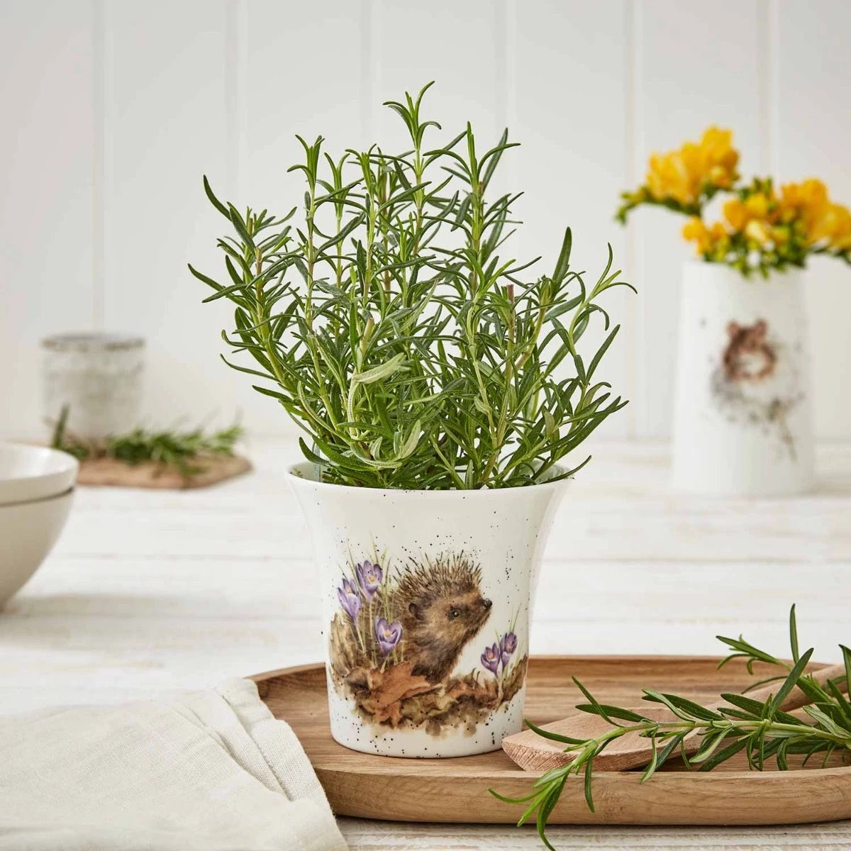 'New Beginnings' Hedgehog Herb Pot 4 'New Beginnings' Hedgehog Herb Pot - Image 2