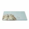 'Birds Of A Feather' Owl Glass Worktop Saver -Home Furnishing Store x0019118893 a