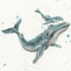 'Marine Blue' Whale Cross Stitch 2 'Marine Blue' Whale Cross Stitch -Home Furnishing Store xhd113