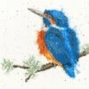 'King Of The River' Kingfisher Cross Stitch -Home Furnishing Store xhd23