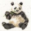 'Bamboozled' Panda Cross Stitch -Home Furnishing Store xhd28