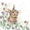 'The Meadow' Rabbit Cross Stitch 2 'The Meadow' Rabbit Cross Stitch -Home Furnishing Store xhd30 the meadow med3