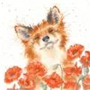 'Poppy Field' Fox Cross Stitch -Home Furnishing Store xhd33 poppy field med5
