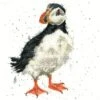 'Little Clown' Puffin Cross Stitch -Home Furnishing Store xhd34 little clown med