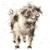 'Truffles And Trotters' Pig Cross Stitch -Home Furnishing Store xhd35 truffles and trotters med