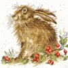 'The Hippy Hare' Hare Cross Stitch -Home Furnishing Store xhd38 hippy hare