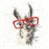 'No Cause For A-Llama' Llama Cross Stitch -Home Furnishing Store xhd40 no cause for a llama
