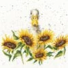 'Sunshine' Duck Cross Stitch -Home Furnishing Store xhd44 sunshine big