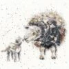 'Ewe And Me' Sheep Cross Stitch -Home Furnishing Store xhd47 ewe and me big