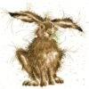 'Hare Brained' Hare Cross Stitch 2 'Hare Brained' Hare Cross Stitch -Home Furnishing Store xhd49 hare brained small
