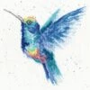 'Rainbow' Hummingbird Cross Stitch -Home Furnishing Store xhd57