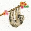 'Hanging Around' Sloth Cross Stitch -Home Furnishing Store xhd59