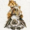 'Piggy In The Middle' Guinea Pig & Rabbit Cross Stitch -Home Furnishing Store xhd65 piggy in the middle small