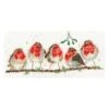'Rockin' Robins' Robin Cross Stitch 1 'Rockin' Robins' Robin Cross Stitch -Home Furnishing Store xhd69 a
