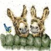'Hee Haw' Donkey Cross Stitch -Home Furnishing Store xhd70