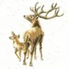 'Wild At Heart' Stag Cross Stitch -Home Furnishing Store xhd72