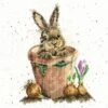 'The Flower Pot' Rabbit Cross Stitch 2 'The Flower Pot' Rabbit Cross Stitch -Home Furnishing Store xhd76