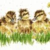 'Buttercup' Duck Cross Stitch 2 'Buttercup' Duck Cross Stitch -Home Furnishing Store xhd78