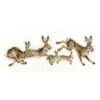 'Spring In Your Step' Hare Cross Stitch -Home Furnishing Store xhd82 a