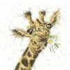 'Thanks A Bunch' Giraffe Cross Stitch -Home Furnishing Store xhd83