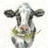 'Milk Maid' Cow Cross Stitch