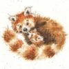 'Tree Hugger' Red Panda Cross Stitch -Home Furnishing Store xhd89