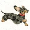 'Friday Feeling' Dachshund Cross Stitch -Home Furnishing Store xhd92