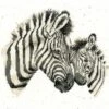 'Racing Stripes' Zebra Cross Stitch -Home Furnishing Store xhd96