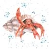 'The Happy Crab' Crab Print -Home Furnishing Store z036